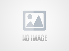 嘉實多齒輪油的特點、應用及主要種類